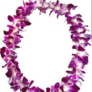 Orchid Lei