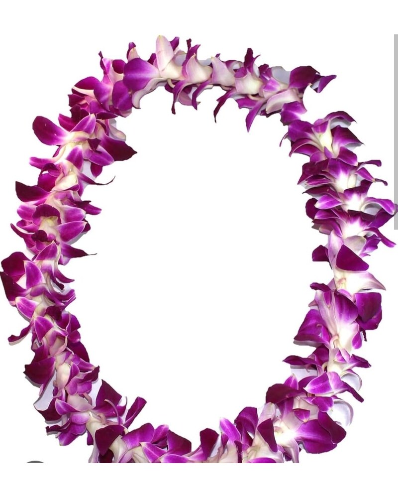 Orchid Lei – Port Orchard Florist